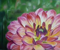 Floral - Rainbow Dahlia - Oil On Canvas