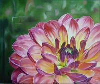 Rainbow Dahlia - Oil On Canvas Paintings - By Teresa Ramsey, Realism Painting Artist