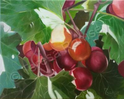 Still Life - Muscadine Grapes - Oil On Canvas