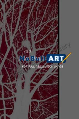 Gallery - Nest - Photography  Digital