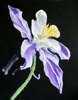 Work Series - Columbine Flower - Acrylic On Canvass