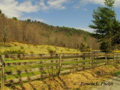 Rustic Countryside - Springtime Shadows - Digital Photography