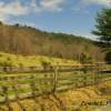 Springtime Shadows - Digital Photography Photography - By Pamela Phelps, Color Photography Photography Artist