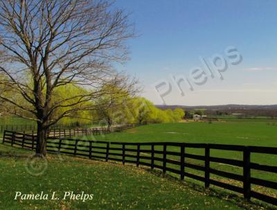 Rustic Countryside - Springtime At The Farm - Digital Photography