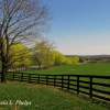 Springtime At The Farm - Digital Photography Photography - By Pamela Phelps, Color Photography Photography Artist