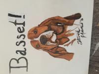 Basset Hound - Acrylic Paintings - By Steve Johnson, Illustration Painting Artist
