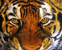 Animals - Tigers Mask Oil Painting - Oil Canvas