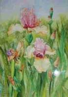 Pink And Purple Iris Garden - Water Color Paintings - By Margaret Older, Realism Painting Artist