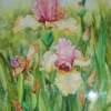 Pink And Purple Iris Garden - Water Color Paintings - By Margaret Older, Realism Painting Artist