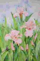 Margarets Watercolor Art - Pink Iris With Dragonfly - Water Color