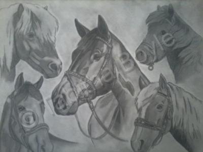 Pencils - Horses - Pencils