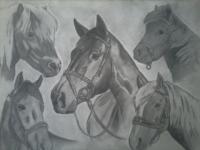 Horses - Pencils Drawings - By Tabitha Lagodzinski, Black And White Drawing Artist