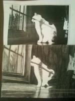 Looking Threw - Charcoal Drawings - By Tabitha Lagodzinski, Black And White Drawing Artist