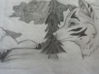 Wolf - Pencils Drawings - By Tabitha Lagodzinski, Black And White Drawing Artist