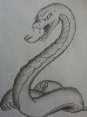 Pencils - Snake - Pencils