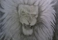 Lion - Graphite Drawings - By Cole Soucie, Realism Drawing Artist