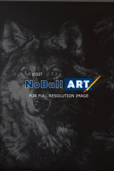 Animals - Wolf - Scratchboard
