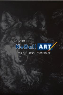 Animals - Wolf - Scratchboard