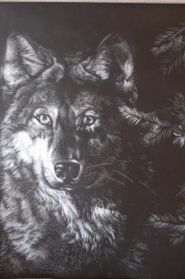 Animals - Wolf - Scratchboard