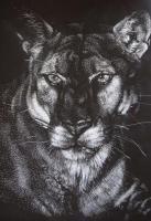 Darkness - Scratchboard Other - By Joanna Gates, Realism Other Artist