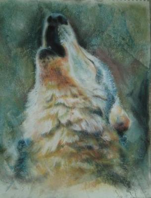 Animals - The Calling - Pastel