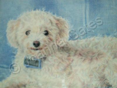 Animals - Jessie - Colored Pencil