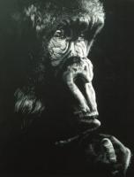 Animals - Pensive - Scratchboard