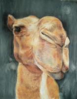 Animals - Humphry - Pastel