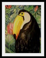 Toucan - Pastel Paintings - By Michelle Murphy, Impressionism Painting Artist