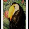 Toucan - Pastel Paintings - By Michelle Murphy, Impressionism Painting Artist
