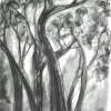 Trees - Charcoal Drawings - By Michelle Murphy, Abstract Impressionism Drawing Artist