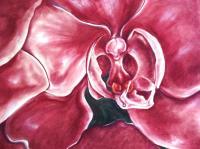 Orchid - Pastel Paintings - By Michelle Murphy, Abstract Impressionism Painting Artist