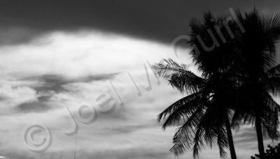 Black And White Photography - Backlit - Digital