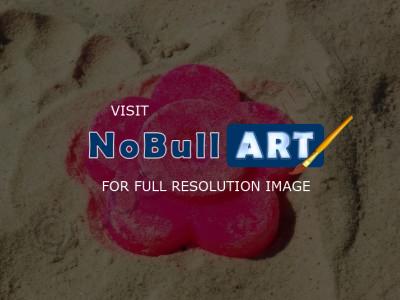 Color Photography - Sand Flower - Digital