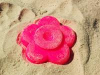 Sand Flower - Digital Photography - By Joel Mcguirl, Color Photography Artist