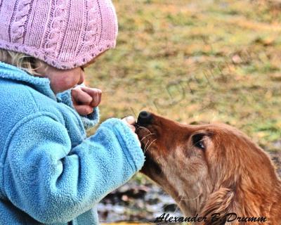 Photo - Child With Puppy - Photo  Digital