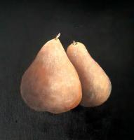 Char - Two Pears - Acrylic