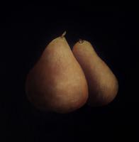 Two Pears - Acrylic Paintings - By Charlotte Sprem, Realism Painting Artist