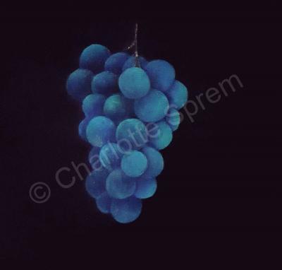 Char - Blue Grapes - Acrylic