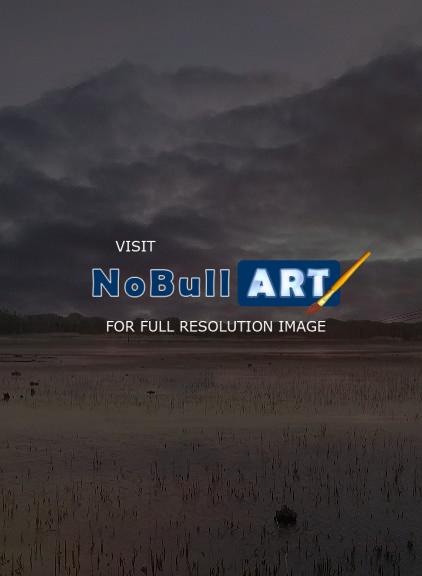 Photography - A Northern Bayou - Digital Arts