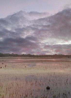 Photography - A Northern Bayou - Digital Arts