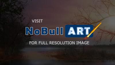 Photography - Breathtaking Bayou - Digital Arts