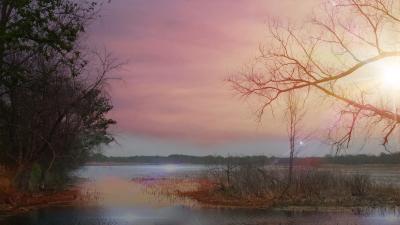 Photography - Breathtaking Bayou - Digital Arts