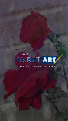 Photography - Roses - Digital Arts