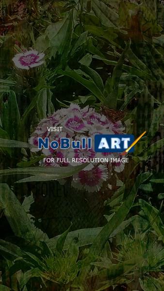 Photography - Garden Blossoms - Digital Arts