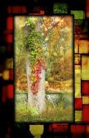 Fall Glass - Digital Arts Photography - By Artistry By Ajanta, Nature Photography Artist