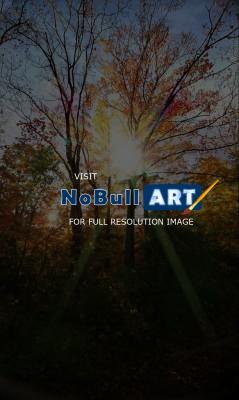 Photography - Autumn Sunlight - Digital Arts