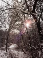 A Sunny January - Photography Photography - By Artistry By Ajanta, Nature Photography Artist