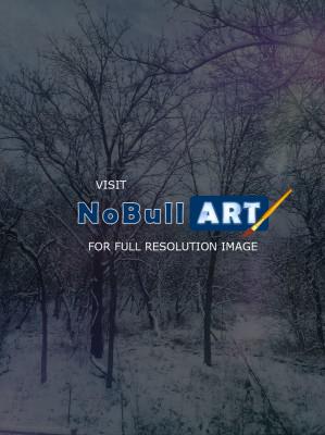 Photography - Snow Flurries - Digital Arts