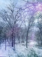 Snow Flurries - Digital Arts Photography - By Artistry By Ajanta, Nature Photography Artist